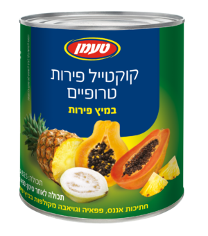 קוקטייל פירות טרופיים במיץ פירות