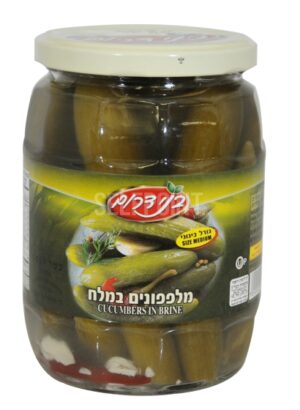 מלפפון במלח צנצנת