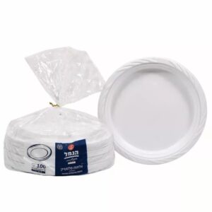 צלחות אמריקאיות ענק, 100 יחידות הנמל